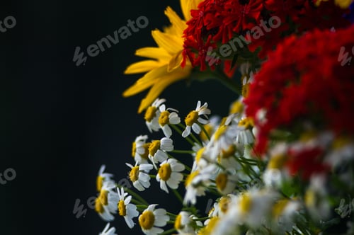 Preview: A Bouquet Of Bright Spring Flowers Of Various Types