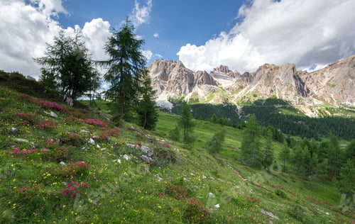 Preview: Male Hiker Exploring The Dolomites Landscape