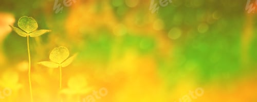 Preview: Green Clover Leaves On A Background Summer Landscape. St.Patrick 'S Day.