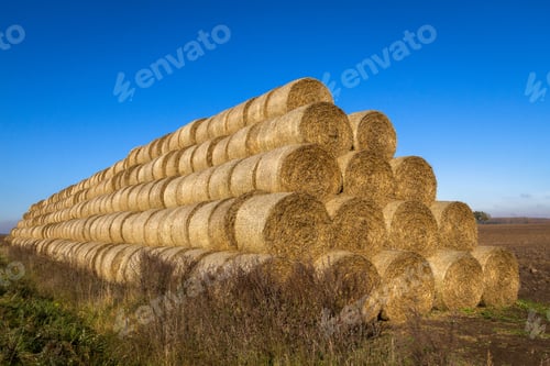 Preview: Hay Roll Stack On The Field