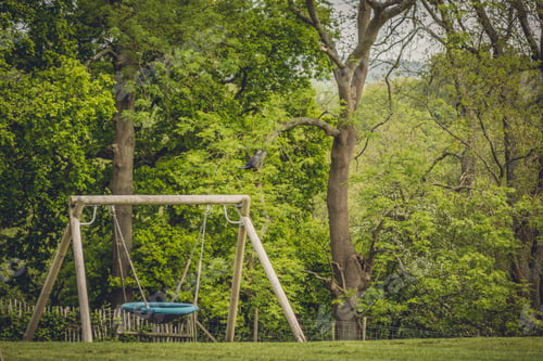 Preview: Large Swing In An Outdoor Playground Near Forest