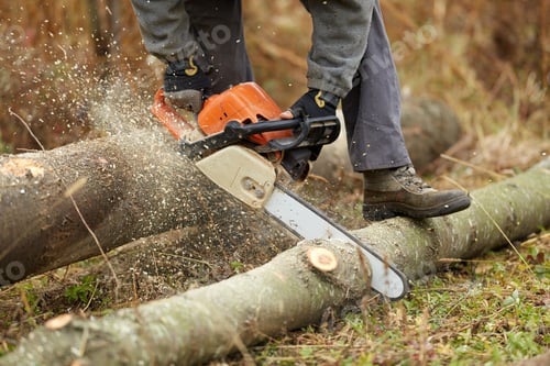 Preview: Anonymous Lumberjack With Chainsaw Cutting Logs
