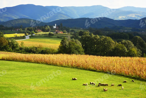 Preview: Scenic Mountain Landscape, Summer Green Meadows,Green Fields