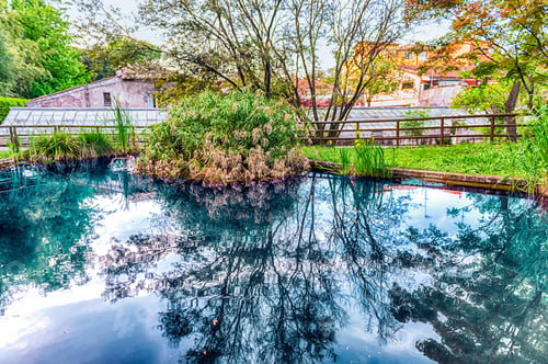 Preview: Idillic Pond With Beautiful Reflections Inside A Public Park In Rome, Italy