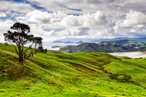 Preview: Rolling Green Farm Fields Under A Calm Blue Sky On The New Zealand North Island, Coromandel