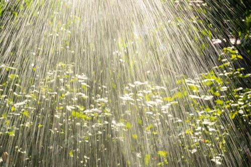 Preview: Watering The Summer Green Garden