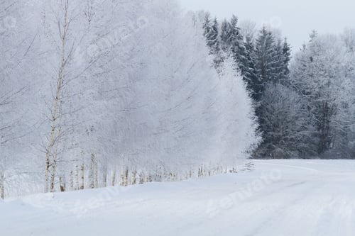 Preview: Frosty And Snowy Winter In Countryside
