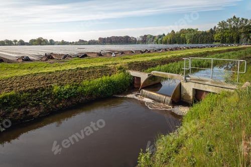 Preview: Small Metal Weir In A Dutch Ditch Regulates The Water Level Around A Field With Asparagus Beds