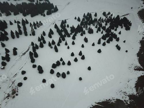 Preview: Snowy Mountain Landscape With Trees - Aerial View