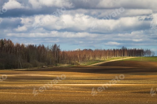 Preview: Processed Cereal Fields In Spring
