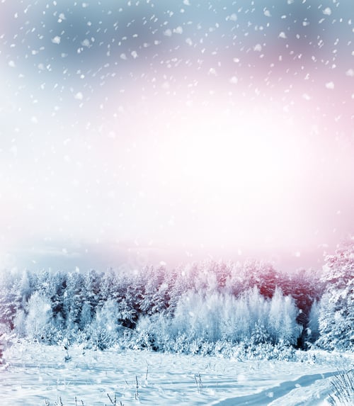 Preview: Forest In The Frost. Winter Landscape. Snow Covered Trees. Christmas Background.
