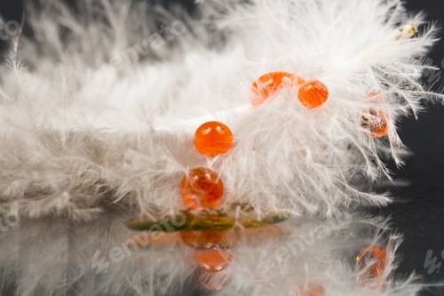 Preview: Guinea Hen Feather With Orange Water Drop And Dark Background