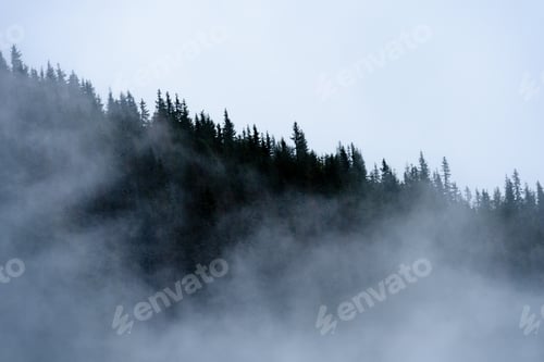 Preview: Panoramic View Of Of Mountains In Misty Forest. Far Horizon.