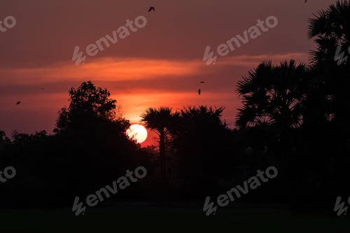 Preview: Beautiful Sunset In Tropical Rural District, Siem Reap, Cambodia