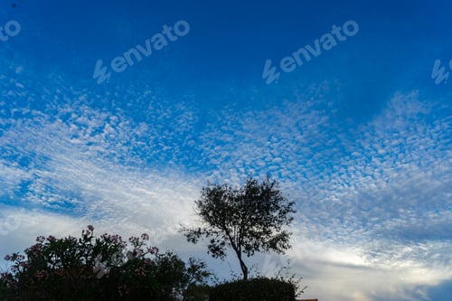 Preview: Blue Skies - Views Around Curacao A Caribbean Island