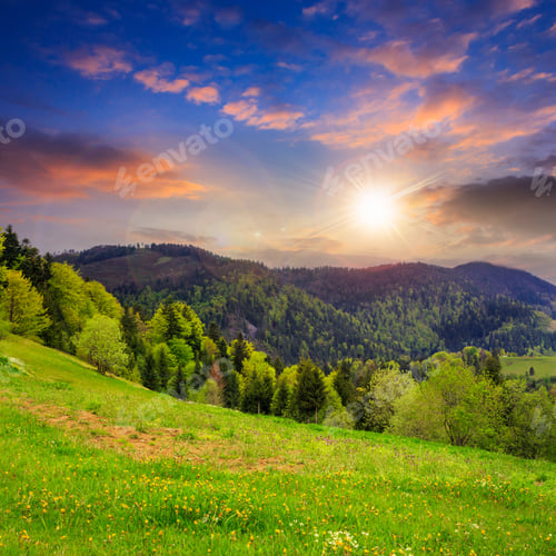 Preview: Mountain Summer Landscape. Pine Trees Near Meadow And Forest On Hillside Under Sky With Clouds At