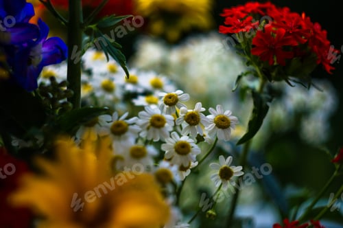 Preview: A Bouquet Of Bright Spring Flowers Of Various Types