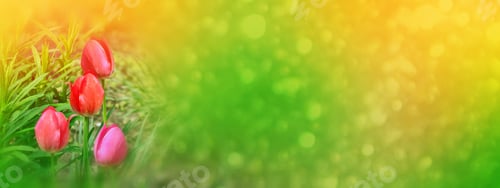 Preview: Bright And Colorful Flowers Tulips On The Background Of Spring Landscape.
