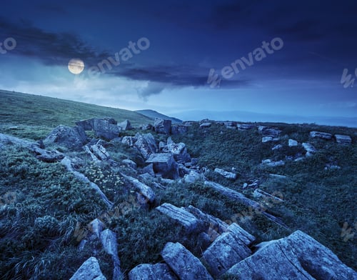 Preview: Dandelions Among White Sharp Stones On The Hillside Meadow On Top Of Mountain Range At Night In