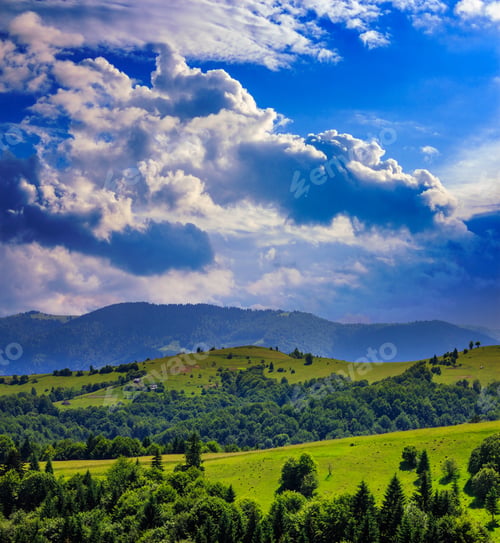 Preview: Valley Near Forest On A Steep Mountain Slope After The Rain In Evening Mood