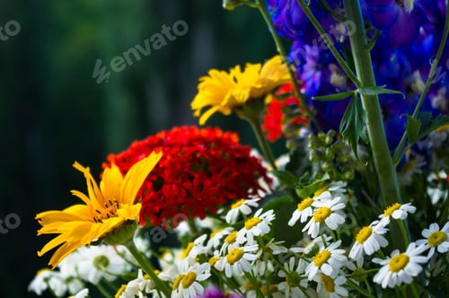 Preview: A Bouquet Of Bright Spring Flowers Of Various Types