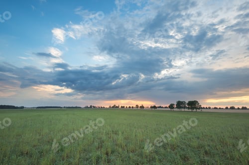Vista previa: Cielo al atardecer sobre pastizales