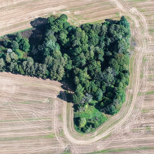 Preview: Aerial View Over The Rural Fields