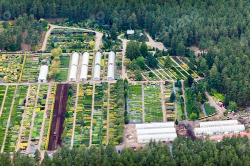 Preview: Aerial View Over The Tree Nursery