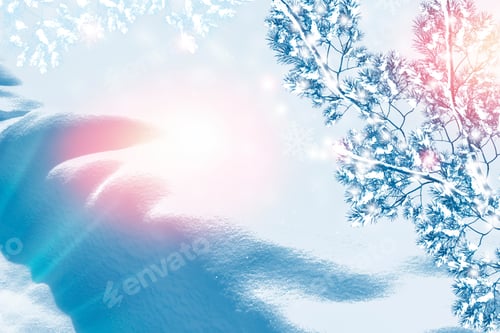 Preview: Frozen Winter Forest With Snow Covered Trees. Outdoor
