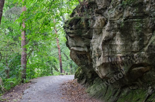 Preview: Landscape Panorama Of A Park In Kislovodsk