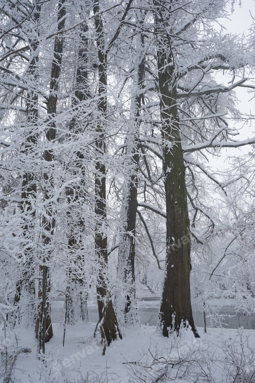 Preview: Snowing Landscape In The Park. High Resolution And Beautiful Snow Details