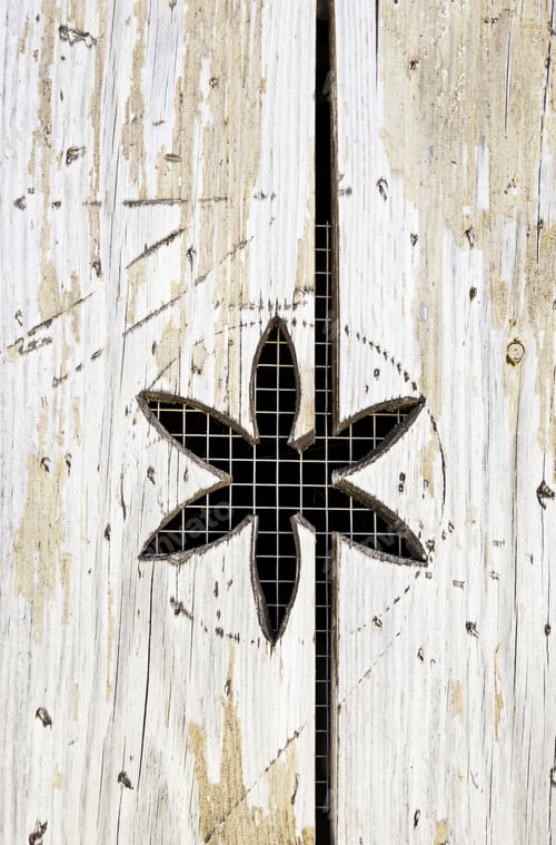 Preview: Wooden Background With Flower Carved Detail Of A Decorated Wooden Wall