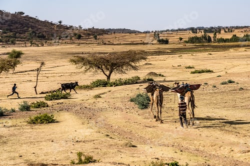 Preview: Men At Work The Simien Mountains National Park In Northern Ethiopia