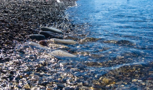Preview: Sea Pebble Beach With Multicoloured Stones, Transparent Waves With Foam, On A Warm Summer Day