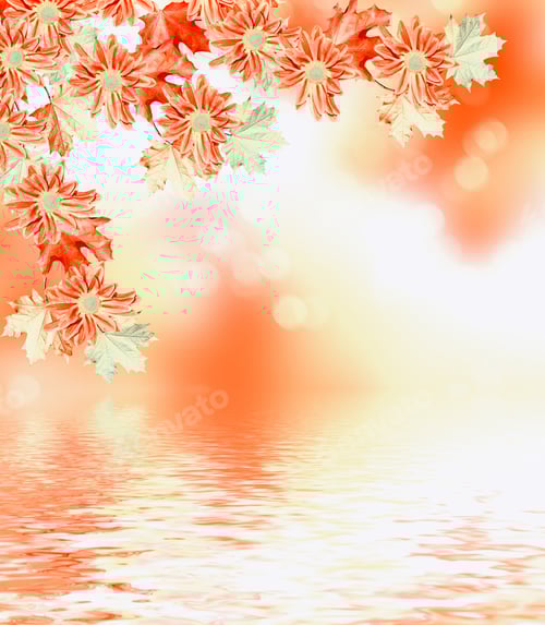 Preview: Autumn Foliage. Golden Autumn. Autumn Landscape With Yellow And Red Leaves. Flowers Chrysanthemum