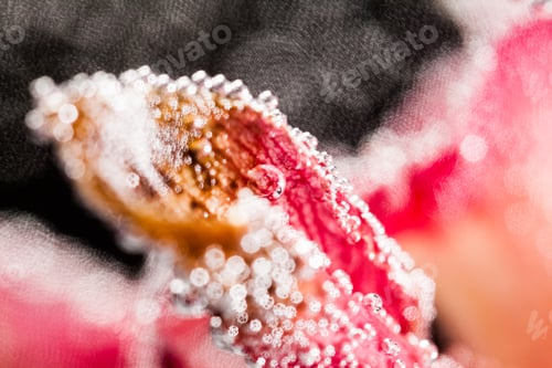 Preview: Abstract Underwater Composition With Blurry Orchid Petals, Bubbles And Light