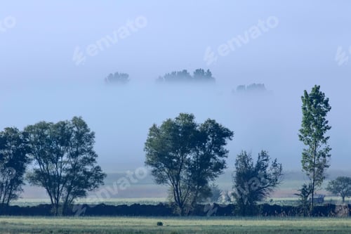 Preview: Foggy Nature Landscape. Foggy Fields Background.