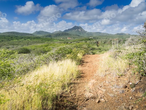 Preview: Christofel National Park - Curacao A Tropical Island In The Caribbean Ocean