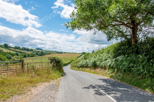 Preview: Summertime Road In The Welsh Countryside.