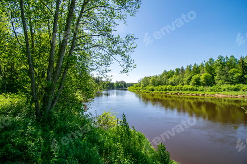 Preview: Calm River With Reflections Of Trees In Water In Bright Green Foliage In Summer In Forest Near