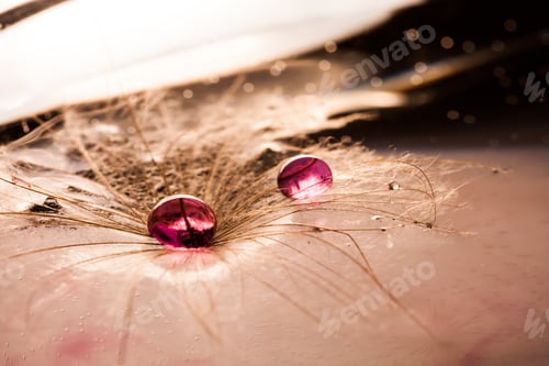 Preview: Macro, Abstract Composition With Colorful Water Drops On Dandelion Seeds