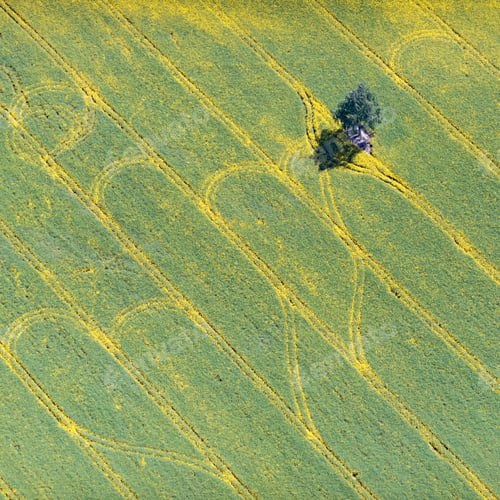 Preview: Aerial View Over The Rural Fields