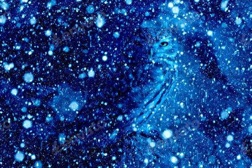 Preview: Winter Season And Animals. Falling Snow. Blue Nature Background. Li̇ttle Owl.