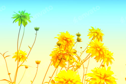 Preview: Colorful Dahlia Flowers On A Background Of The Autumn Landscape