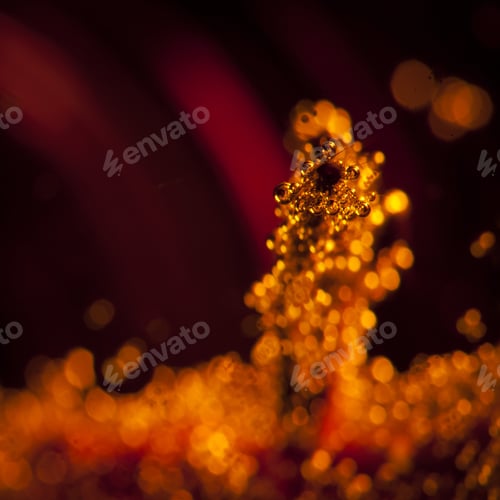Preview: Underwater Bubbles