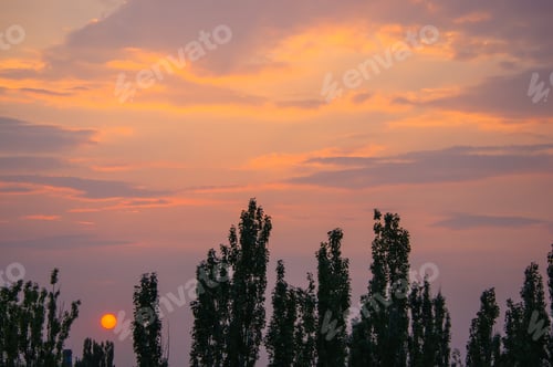 Preview: Landscape With Dramatic Light - Solar Disk, Orange Clouds And The Outline Of Trees At Sunset