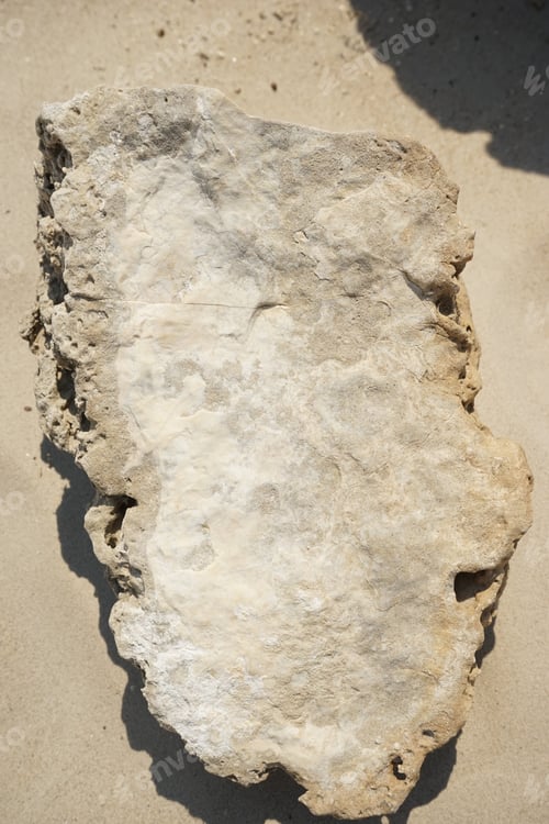 Preview: Pobiti Kamani (The Stone Desert), A Desert-Like Rock Phenomenon Located On The North West Varna