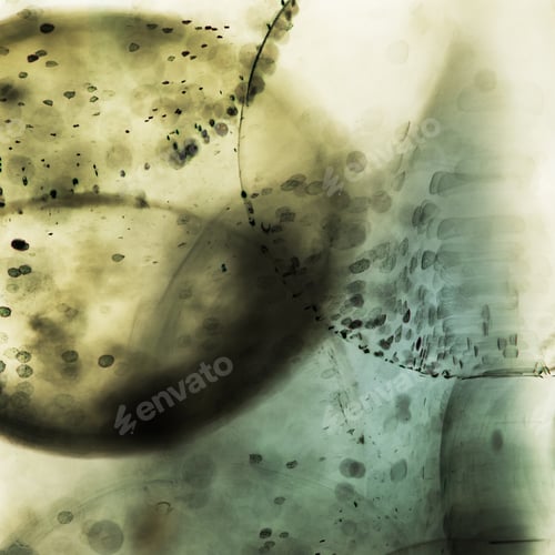 Preview: Abstract Underwater Games With Jelly Balls, Bubbles And Light