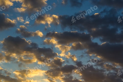 Preview: Landscape With Dramatic Light - Orange Clouds And The Outline Of Trees At Sunrise