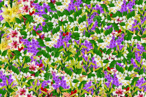Preview: Floral Background. Bright And Colorful Spring Flowers.